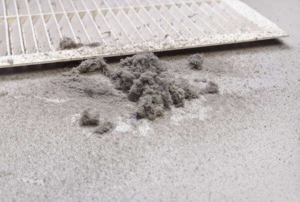 Best Commercial Air Duct Cleaning  in Spirit Lake, IA