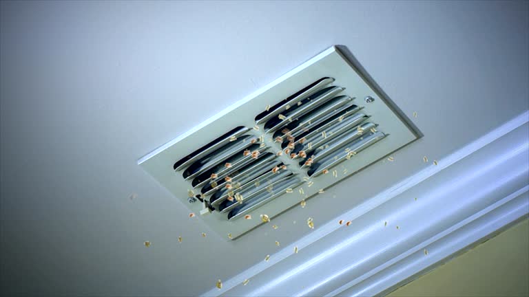 Professional Airduct Cleaning in Spirit Lake, IA