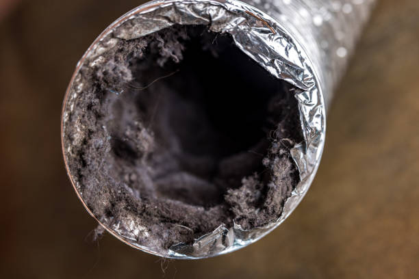 Best Emergency Air Duct Cleaning  in Spirit Lake, IA