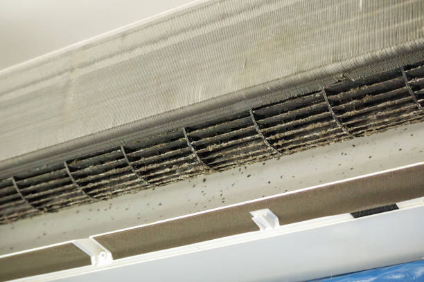 Best Duct Cleaning for Homes  in Spirit Lake, IA